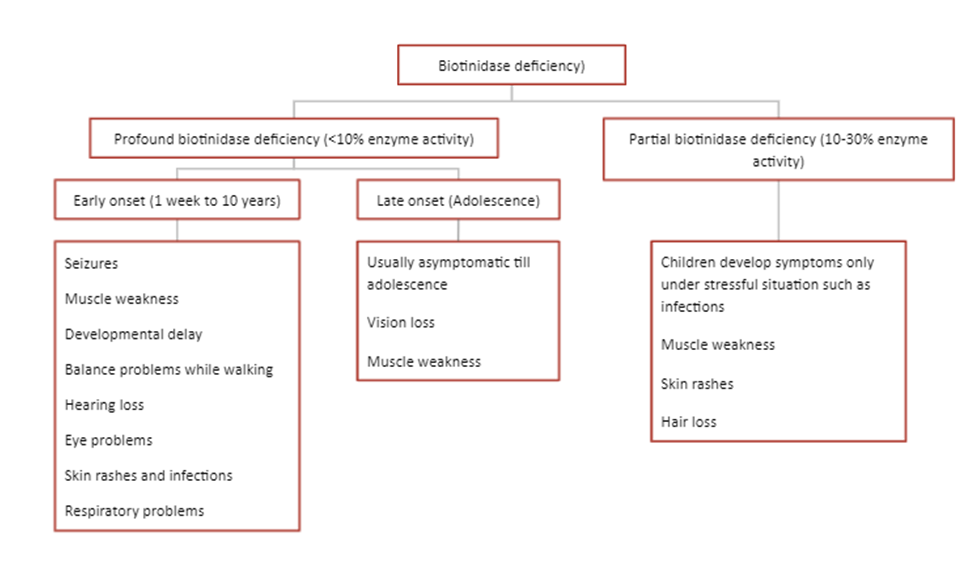 Biotinidase Deficiency